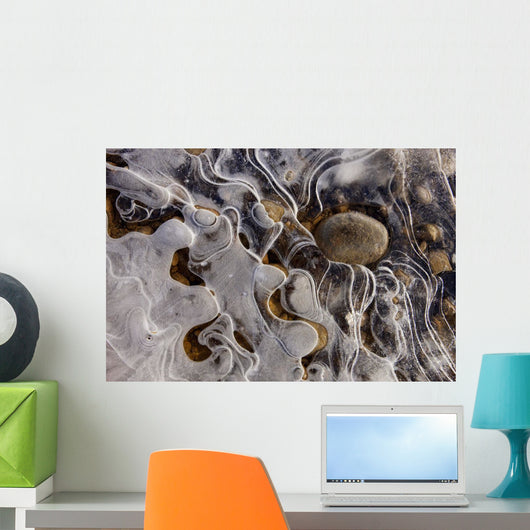 Ice Forms Wall Mural