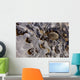 Ice Forms Wall Mural