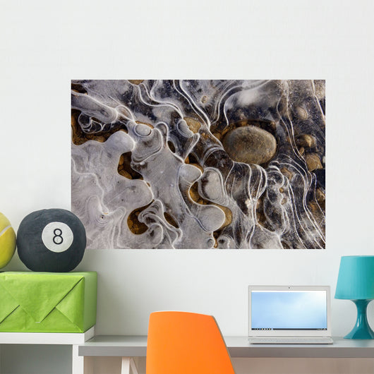 Ice Forms Wall Mural