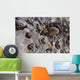 Ice Forms Wall Mural