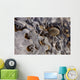Ice Forms Wall Mural