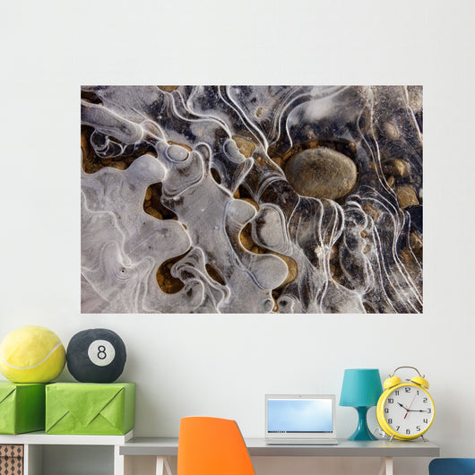 Ice Forms Wall Mural