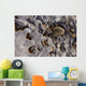 Ice Forms Wall Mural