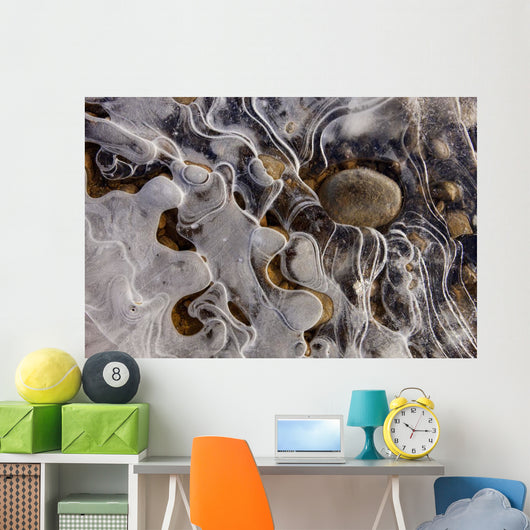 Ice Forms Wall Mural