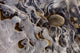 Ice Forms Wall Mural