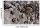 Ice Forms Wall Mural