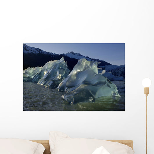 Recently Calved Icebergs Float On The Surface Of Mendenhall Lake Wall Mural