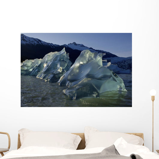 Recently Calved Icebergs Float On The Surface Of Mendenhall Lake Wall Mural