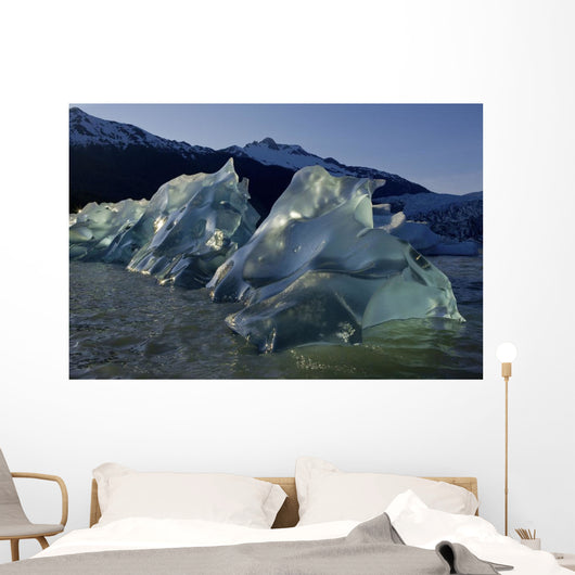Recently Calved Icebergs Float On The Surface Of Mendenhall Lake Wall Mural