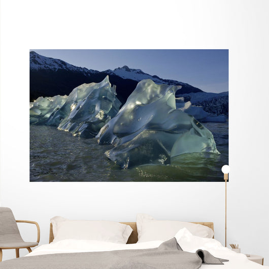 Recently Calved Icebergs Float On The Surface Of Mendenhall Lake Wall Mural
