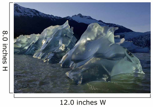 Recently Calved Icebergs Float On The Surface Of Mendenhall Lake Wall Mural