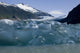Recently Calved From The Terminus Of Mendenhall Glacier Wall Mural