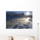 Mendenhall River Flowing Through Snow Wall Mural