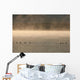 Trumpeter Swans Feed On A Misty Morning At Dezadesh Lake Wall Mural