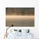 Trumpeter Swans Feed On A Misty Morning At Dezadesh Lake Wall Mural