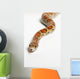 Corn Snake Spruce Grove Wall Decal