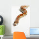 Corn Snake Spruce Grove Wall Decal