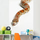 Corn Snake Spruce Grove Wall Decal