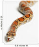 Corn Snake Spruce Grove Wall Decal