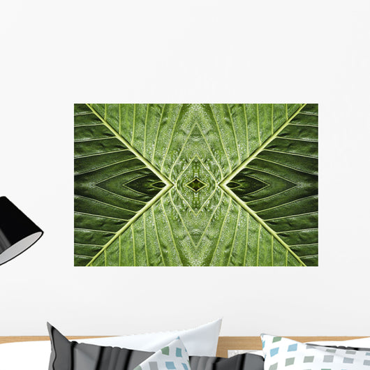 Close up of vein patterns in leaves;Gold coast queensland australia Wall Mural