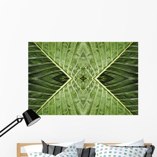Close up of vein patterns in leaves;Gold coast queensland australia Wall Mural
