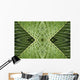 Close up of vein patterns in leaves;Gold coast queensland australia Wall Mural