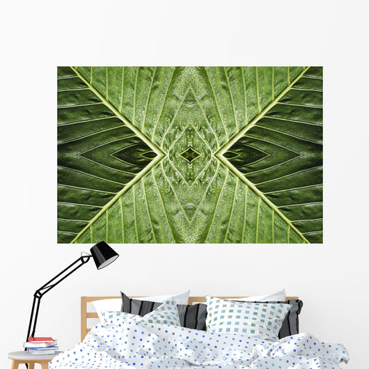 Close up of vein patterns in leaves;Gold coast queensland australia Wall Mural