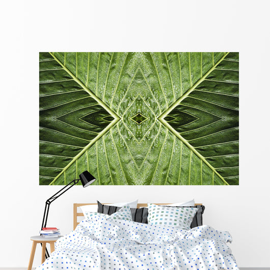 Close up of vein patterns in leaves;Gold coast queensland australia Wall Mural