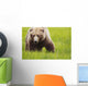 Brown bear up close Wall Mural