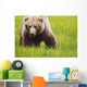Brown bear up close Wall Mural