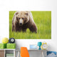 Brown bear up close Wall Mural