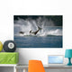 Double Breaching Orcas Wall Mural