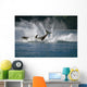 Double Breaching Orcas Wall Mural