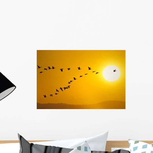 Canada Geese Migration In Sunset Composite Wall Mural