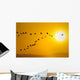 Canada Geese Migration In Sunset Composite Wall Mural