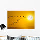 Canada Geese Migration In Sunset Composite Wall Mural