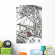 Pine Grosbeak On Snowy Branch Winter Sc Alaska Wall Mural