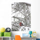 Pine Grosbeak On Snowy Branch Winter Sc Alaska Wall Mural