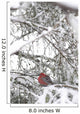 Pine Grosbeak On Snowy Branch Winter Sc Alaska Wall Mural