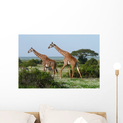 Two Giraffes African Savannah Wall Mural shown on a wall