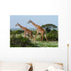 Two Giraffes African Savannah Wall Mural