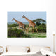 Two Giraffes African Savannah Wall Mural