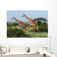 Two Giraffes African Savannah Wall Mural