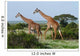 Two Giraffes African Savannah Wall Mural