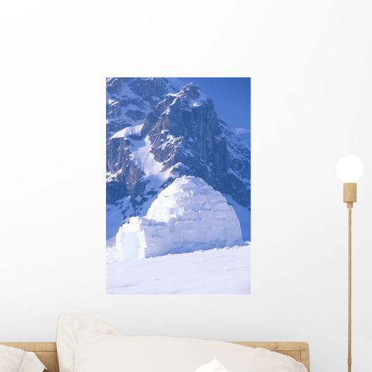 Igloo Ruth Amphitheater Day Scenic Alaska Range Interior Wall Mural