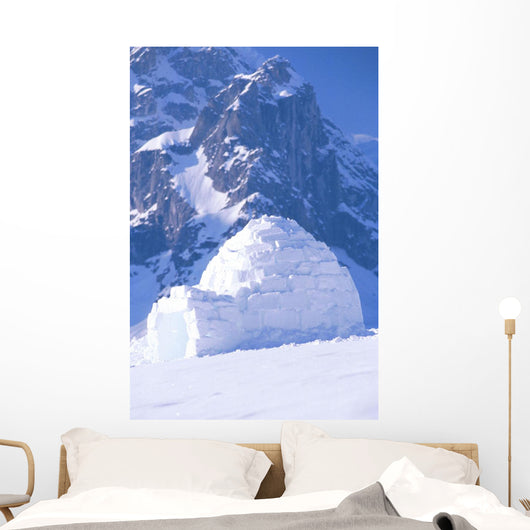 Igloo Ruth Amphitheater Day Scenic Alaska Range Interior Wall Mural