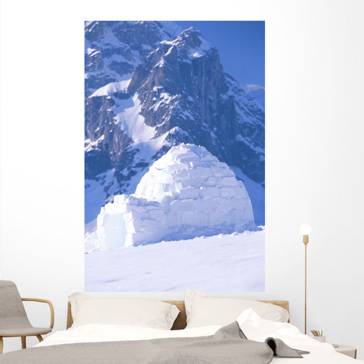 Igloo Ruth Amphitheater Day Scenic Alaska Range Interior Wall Mural
