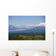 Piper Supercub On Floats Over Ak Range Sc Ak Summer Wall Mural