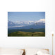 Piper Supercub On Floats Over Ak Range Sc Ak Summer Wall Mural