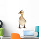 duck isolated on white Wall Decal